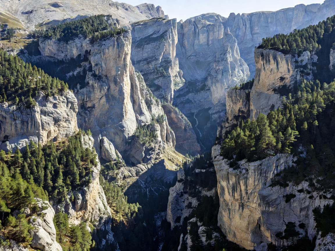 Limestone cliffs and forest floor in the Spanish Pyrenees mountains